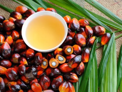 Palm Oil