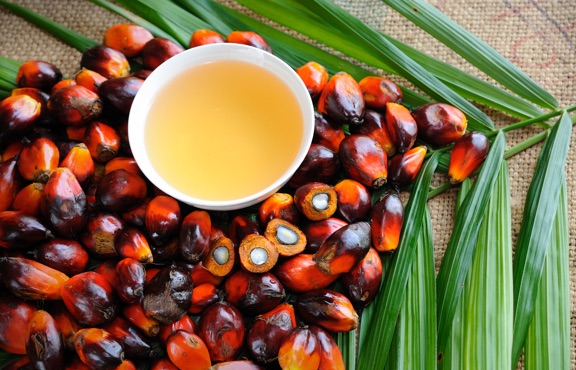 Palm Oil